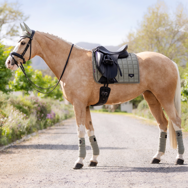LeMieux Loire Classic Dressage Square - Fern-4