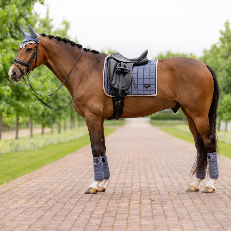 LeMieux Loire Classic Dressage Square - Jay Blue-4