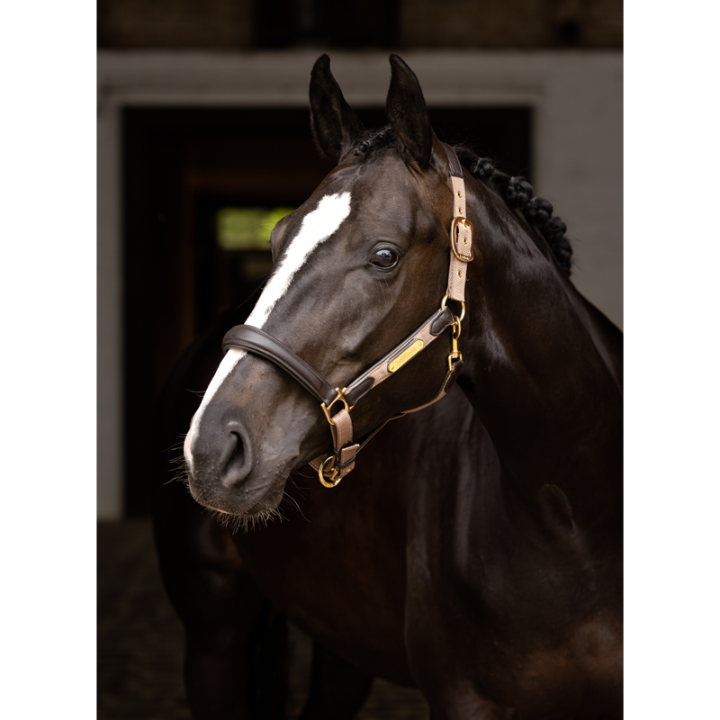 LeMieux Capella Headcollar - Mink-2