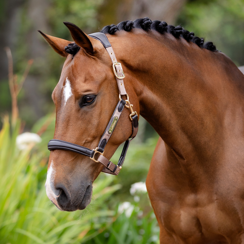 LeMieux Capella Headcollar - Mink-1