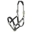 LeMieux Capella Headcollar - Thyme