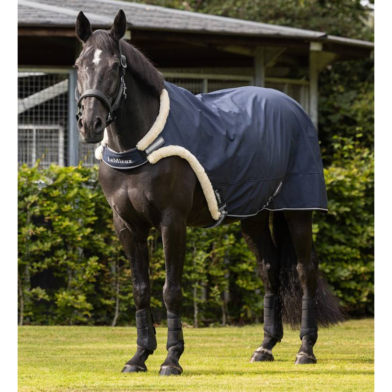 LeMieux Walker Rug - Navy-3