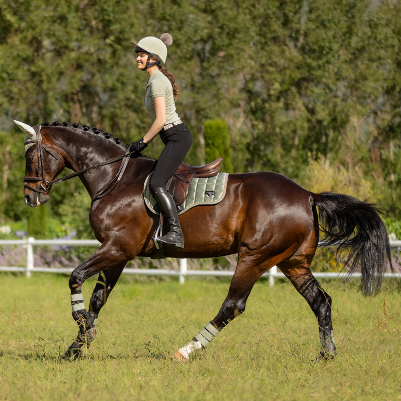 LeMieux Loire Classic GP Square - Fern-5