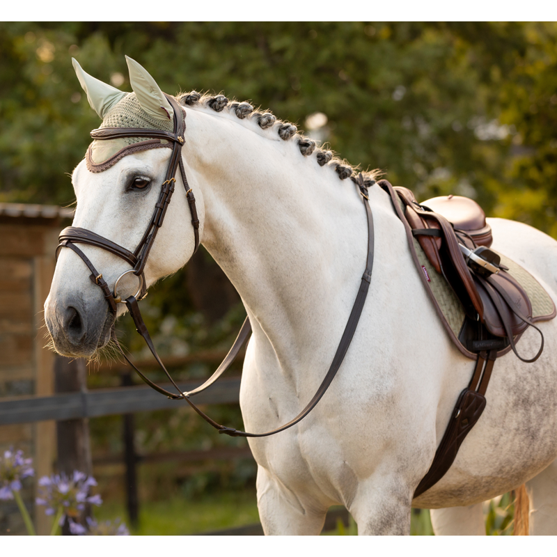 LeMieux Classic Fly Hood - Fern-2