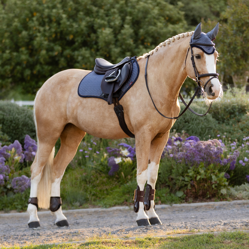 LeMieux Classic Fly Hood - Jay Blue-4