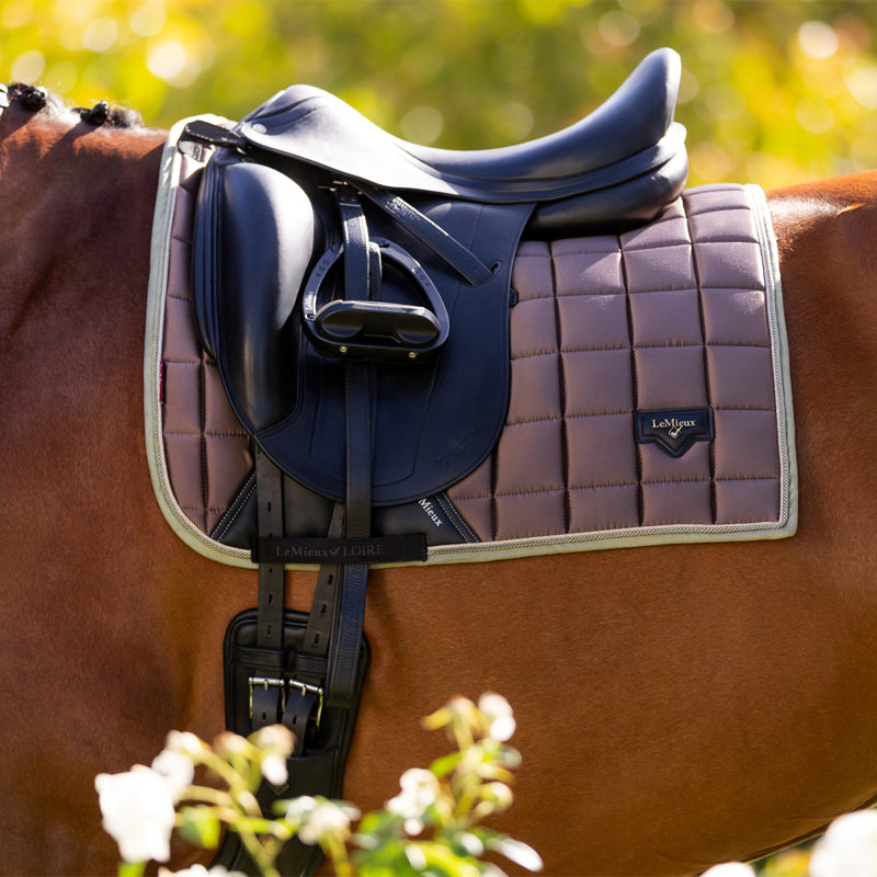 LeMieux Loire Classic Dressage Square - Walnut-1