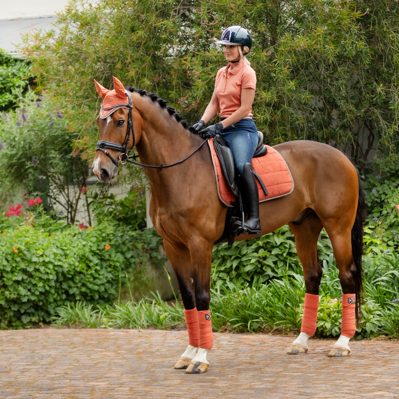 LeMieux Dressage Work Pad - Apricot-3