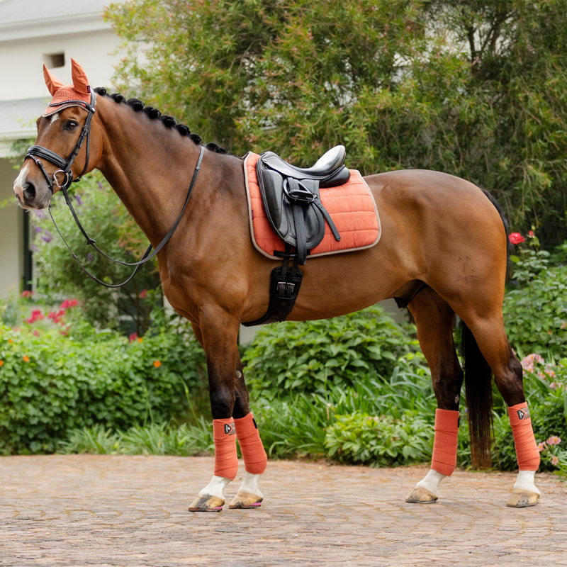 LeMieux Dressage Work Pad - Apricot-2