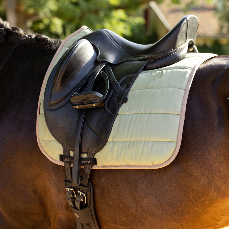 LeMieux Dressage Work Pad - Fern-1