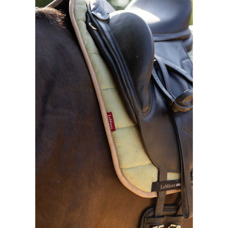 LeMieux Dressage Work Pad - Fern-2