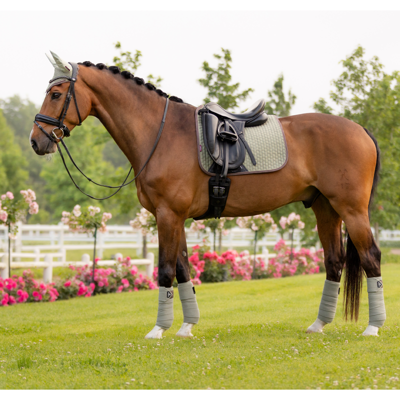LeMieux Suede Dressage Square - Fern-1