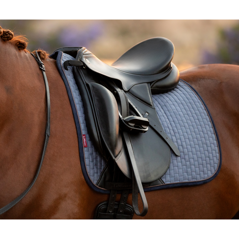 LeMieux Suede Dressage Square - Jay Blue-1