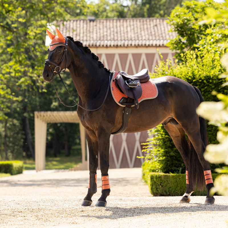 LeMieux Suede GP Square - Apricot-3