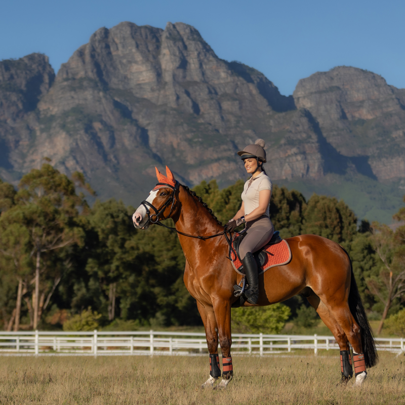 LeMieux Suede GP Square - Apricot-5