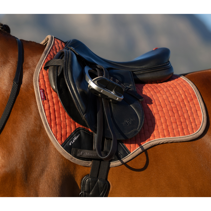 LeMieux Suede GP Square - Apricot-1