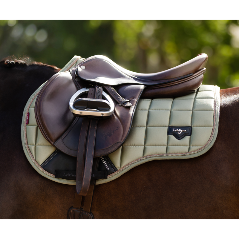 LeMieux Loire Classic GP Square - Fern-1