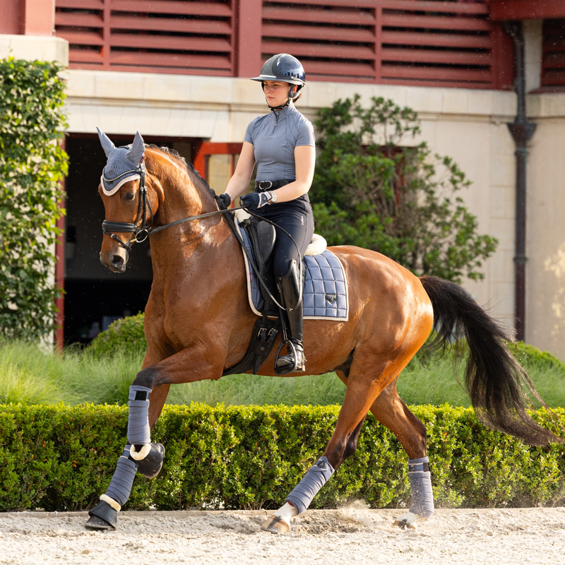 LeMieux Loire Polo Bandages - Jay Blue-2