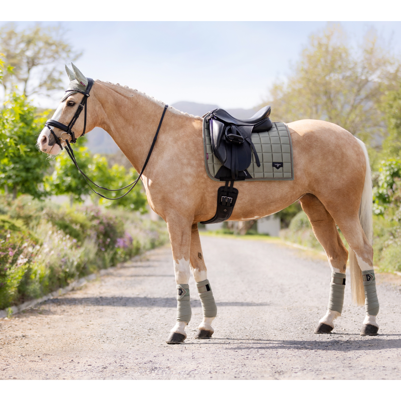 LeMieux Loire Polo Bandages - Fern-3