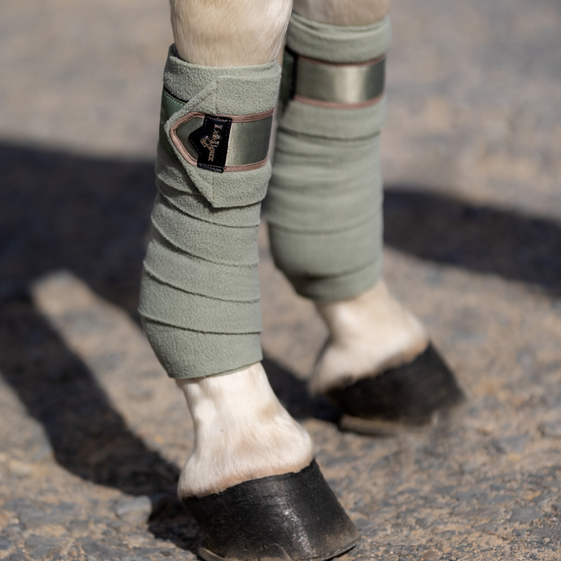 LeMieux Loire Polo Bandages - Fern-1