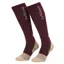 LeMieux Performance Socks - Burgundy