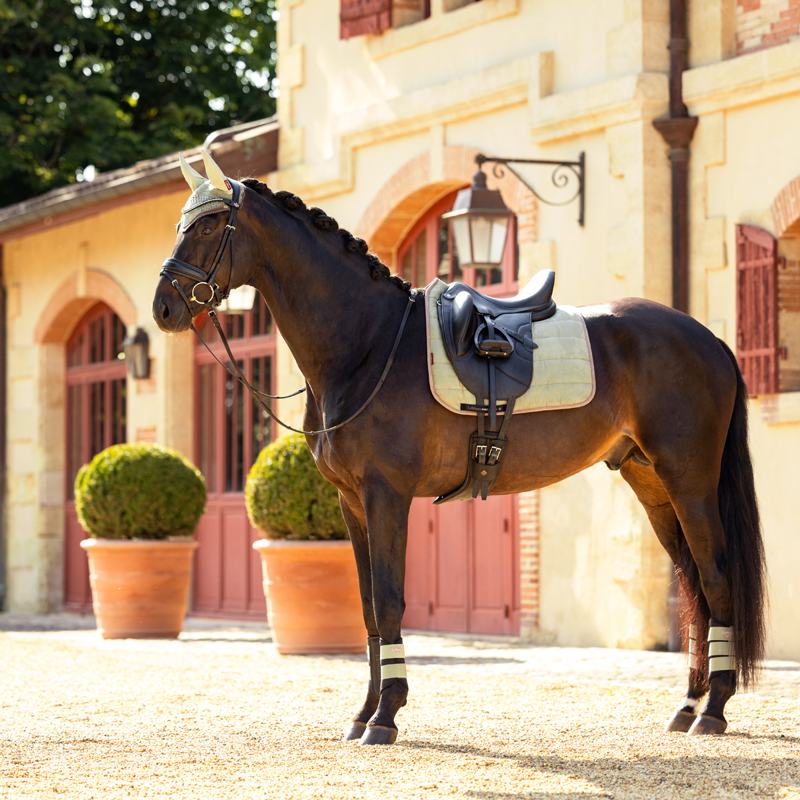 LeMieux Grafter Boots - Fern-8