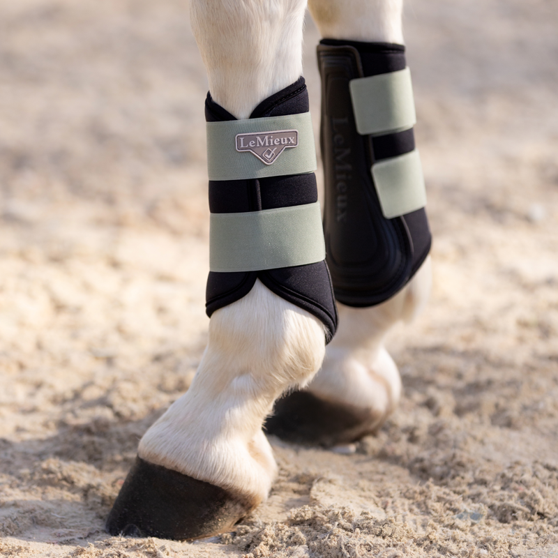 LeMieux Grafter Boots - Fern-6