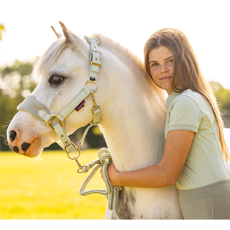 LeMieux Mini Vogue Headcollar - Fern-1