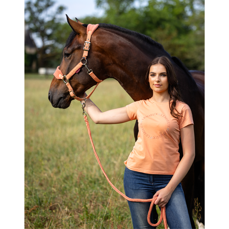 LeMieux Vogue Headcollar - Apricot-4