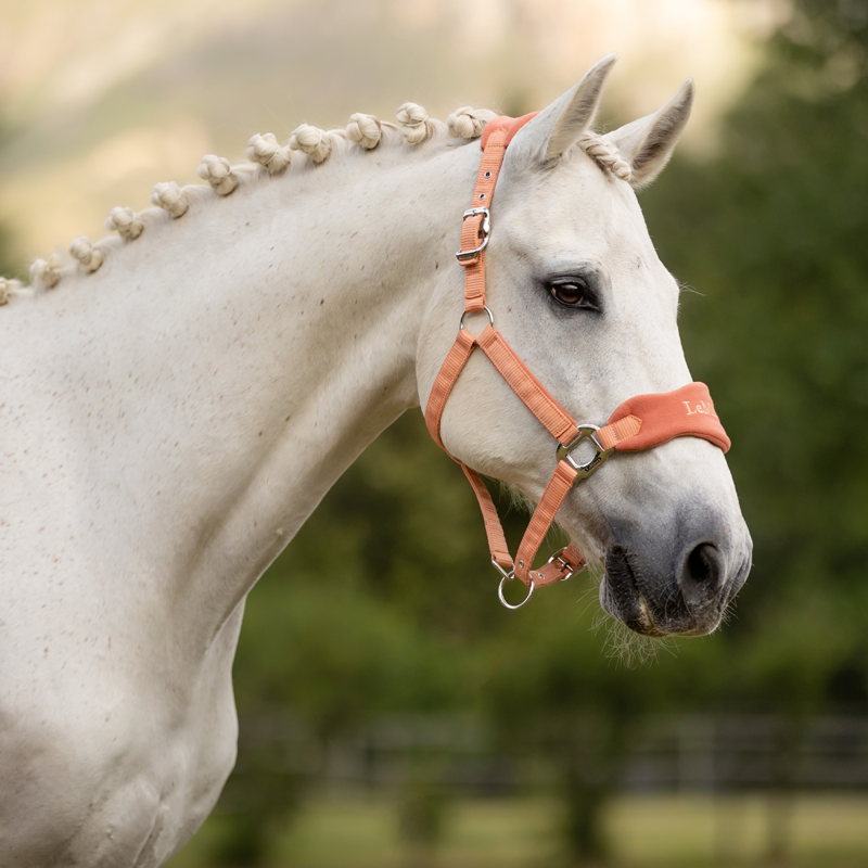 LeMieux Vogue Headcollar - Apricot-2