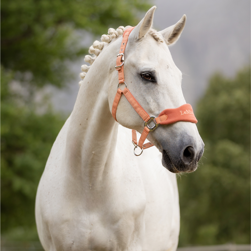 LeMieux Vogue Headcollar - Apricot-1