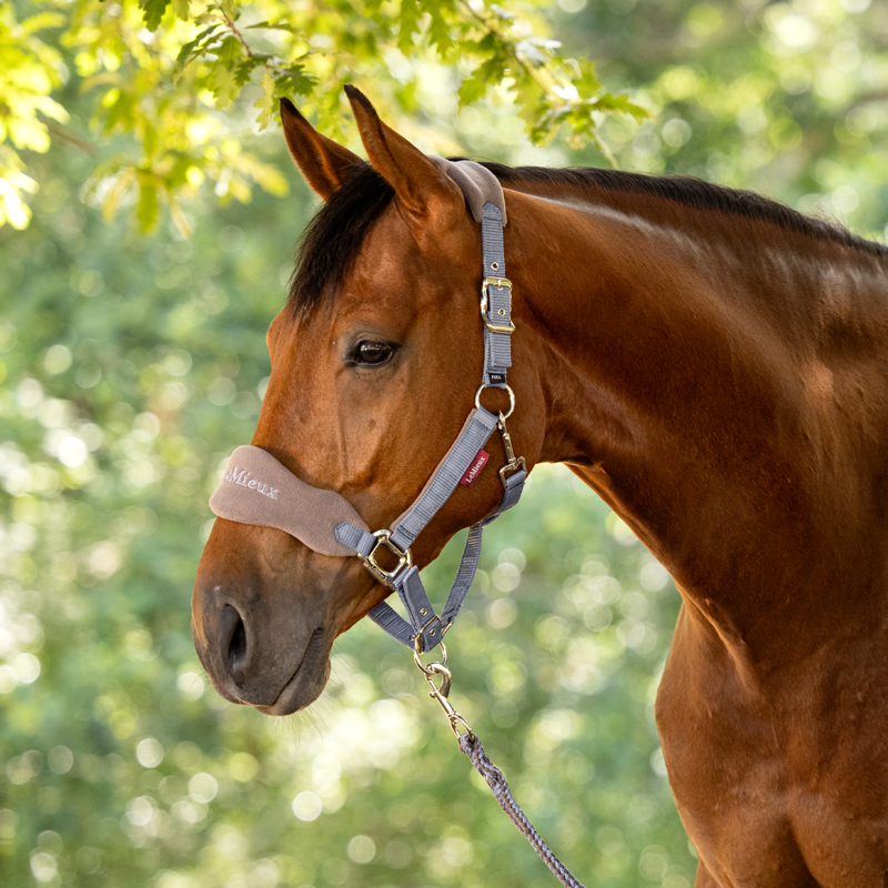 LeMieux Vogue Headcollar - Jay Blue-1
