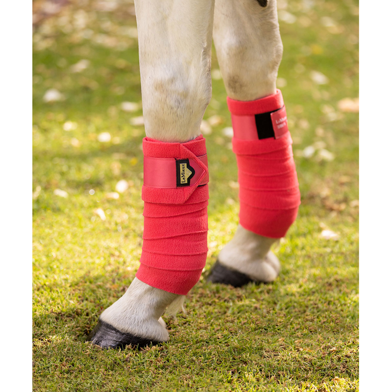 LeMieux Loire Polo Bandages - Papaya -2