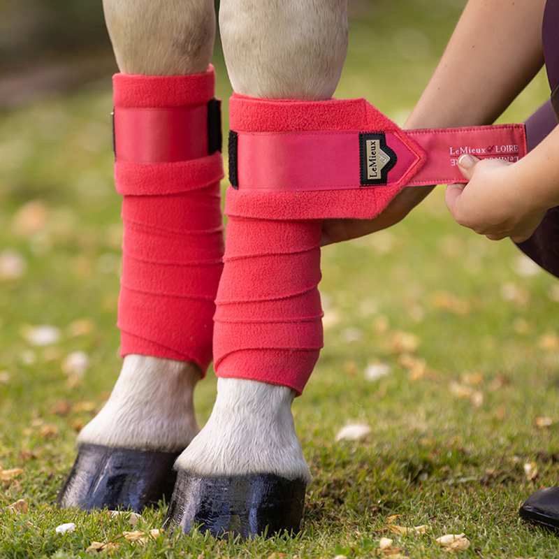 LeMieux Loire Polo Bandages - Papaya -1