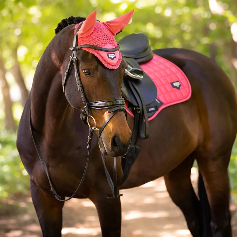 LeMieux Loire Classic GP Square - Papaya-1