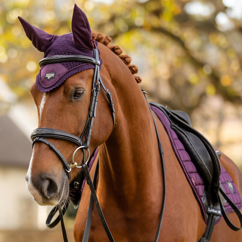 LeMieux Loire Fly Hood - Fig-3