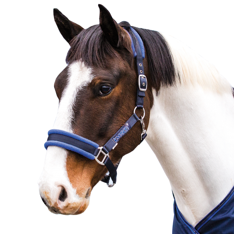 Loveson Headcollar-1