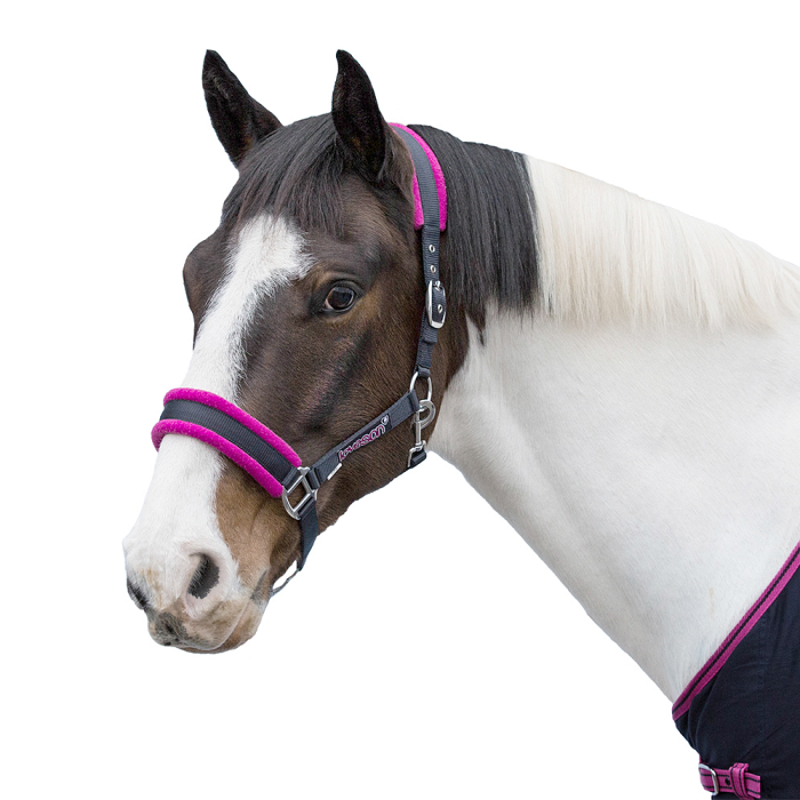 Loveson Headcollar-4