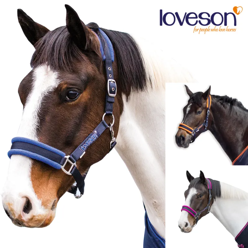 Loveson Headcollar