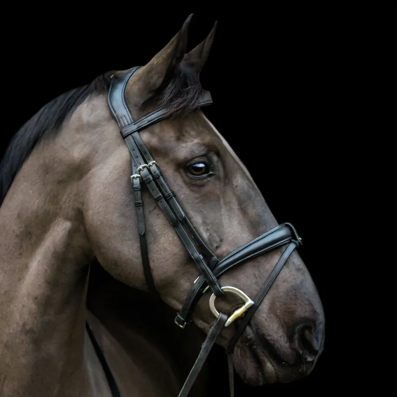 EcoRider Ecosoft Luxe Bridle - Brown