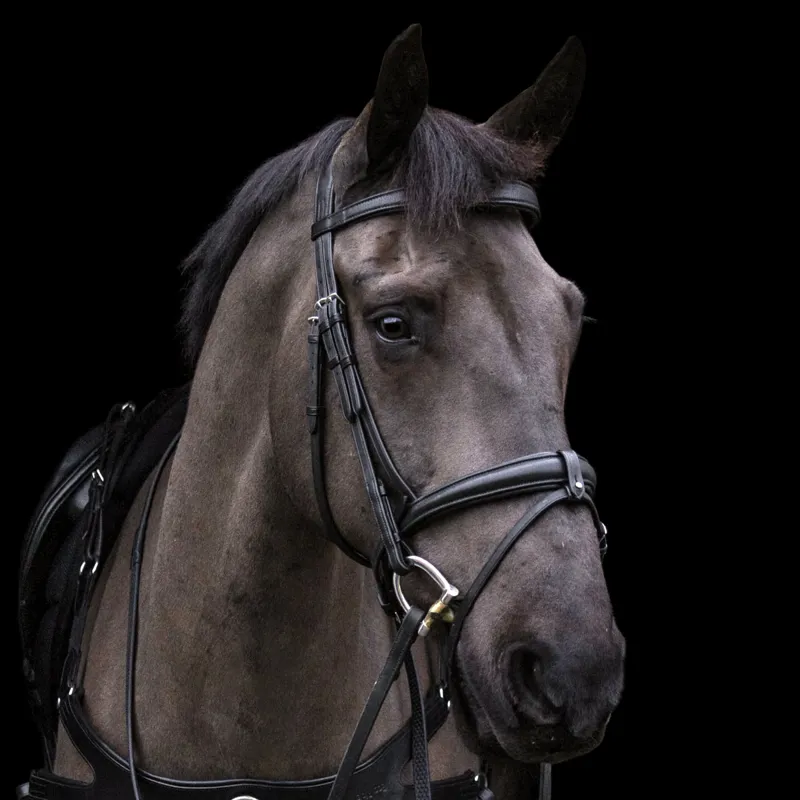 EcoRider Ecosoft Luxe Bridle - Brown-1