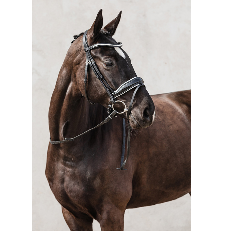 Schockemohle Malibu Anatomical Bridle - Black/Patent/White/Silver-1