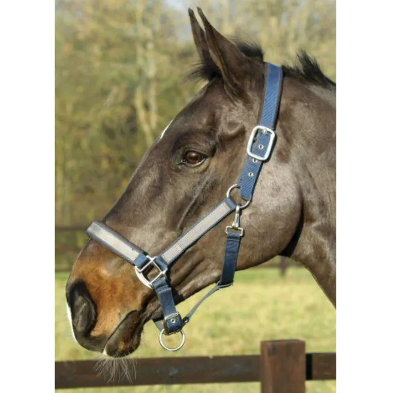 Mark Todd Padded Headcollar - Navy/Grey