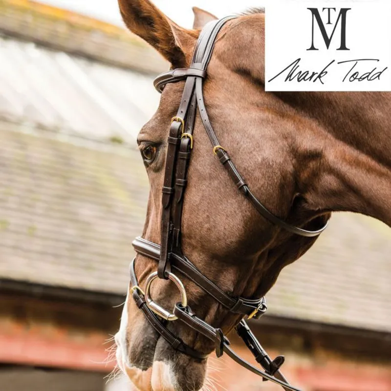 Mark Todd Performance Flash Bridle with Brass Fittings - Black