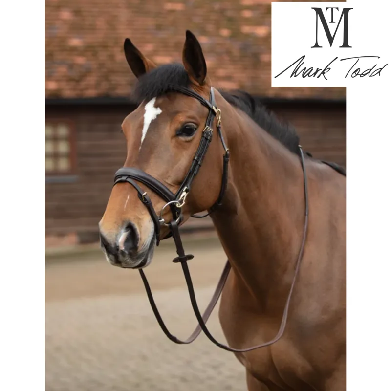 Mark Todd Training Bridle - Havana