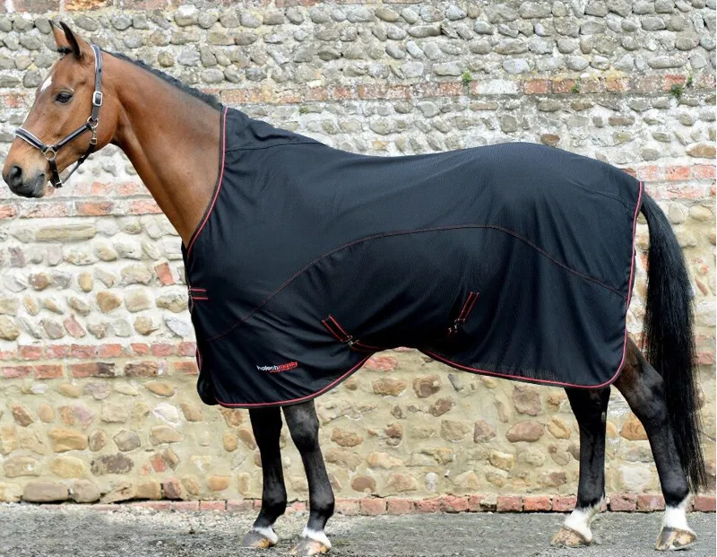 Masta HHWEX Protechmasta Rug in Black