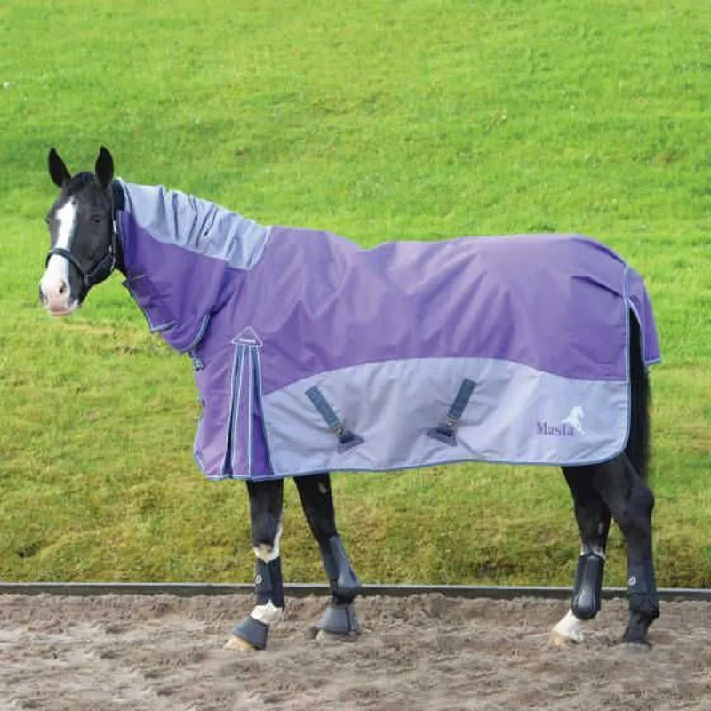 Masta Fieldmasta Turnout Rug in Purple