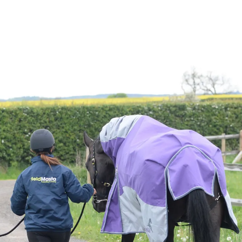 Masta Fieldmasta Turnout Rug in Purple-1