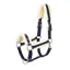 Schockemohle Melbourne Style Headcollar - Blue Nights