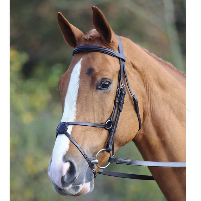 Shires Aviemore Mexican Bridle - Pony - Black