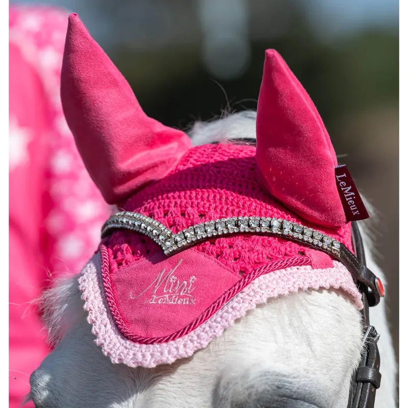 Mini LeMieux Fly Hood - Watermelon-3